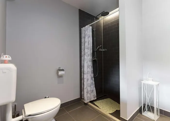 Viscum In Istria For 8 Persons With Large Garden - Pet Friendly Pazin