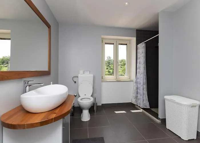 Viscum In Istria For 8 Persons With Large Garden - Pet Friendly *