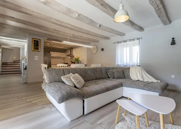 Viscum In Istria For 8 Persons With Large Garden - Pet Friendly Villa *